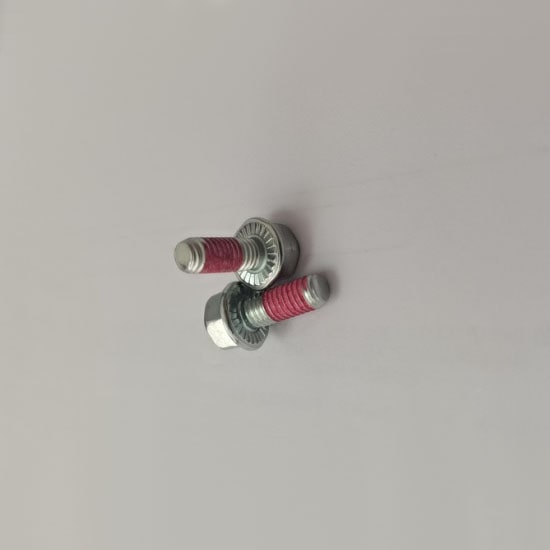 Lock Screw